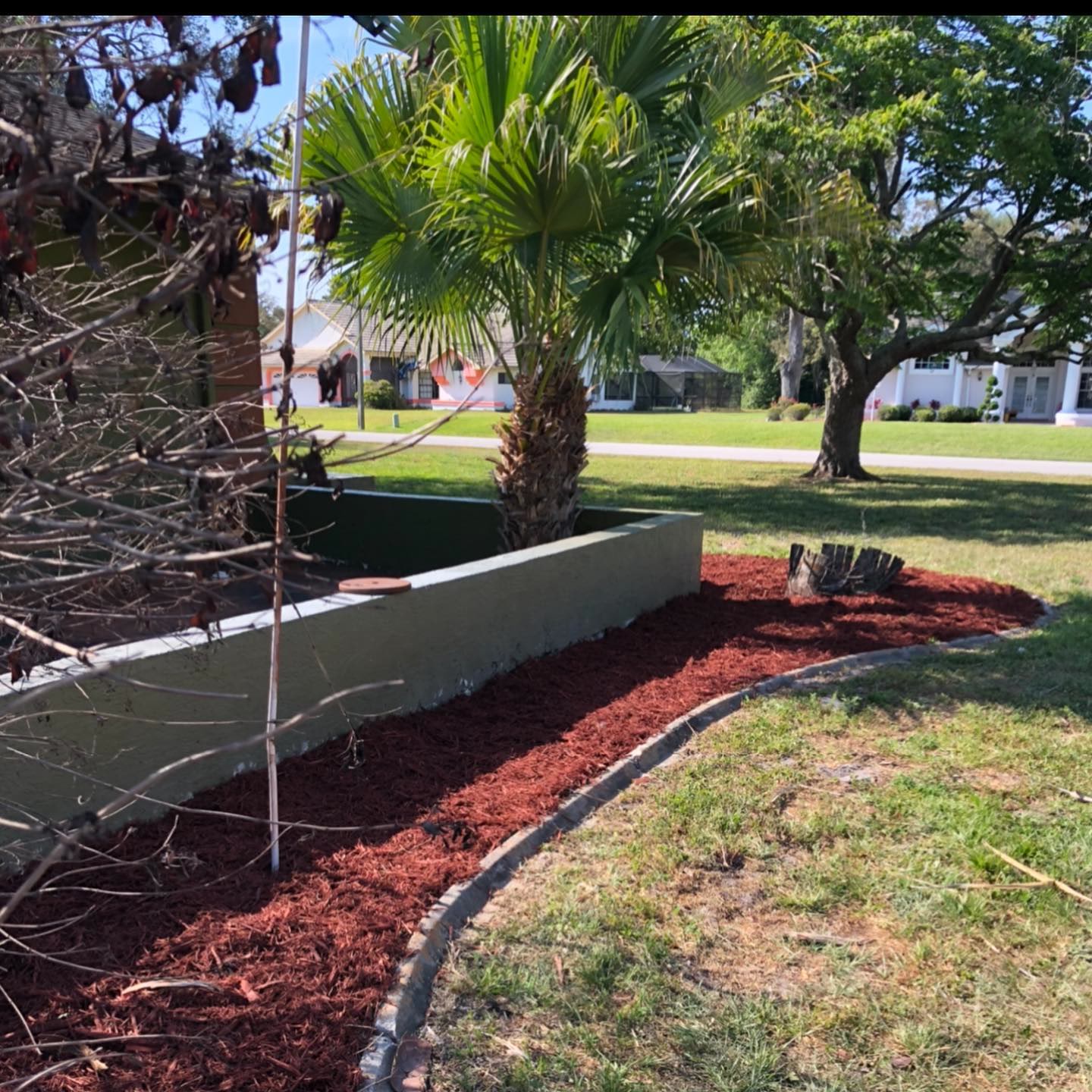 The same bed after cleanup with fresh red mulch