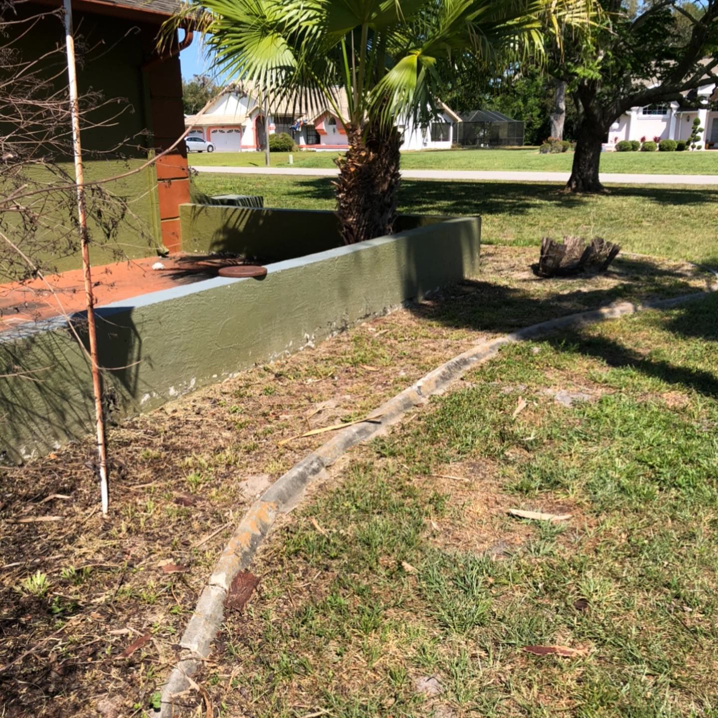 Planting bed before cleanup, overgrown and bare