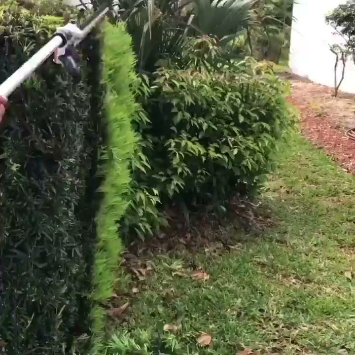 Hedge and Tree Trimming by Supreme Landscape in Hernando County