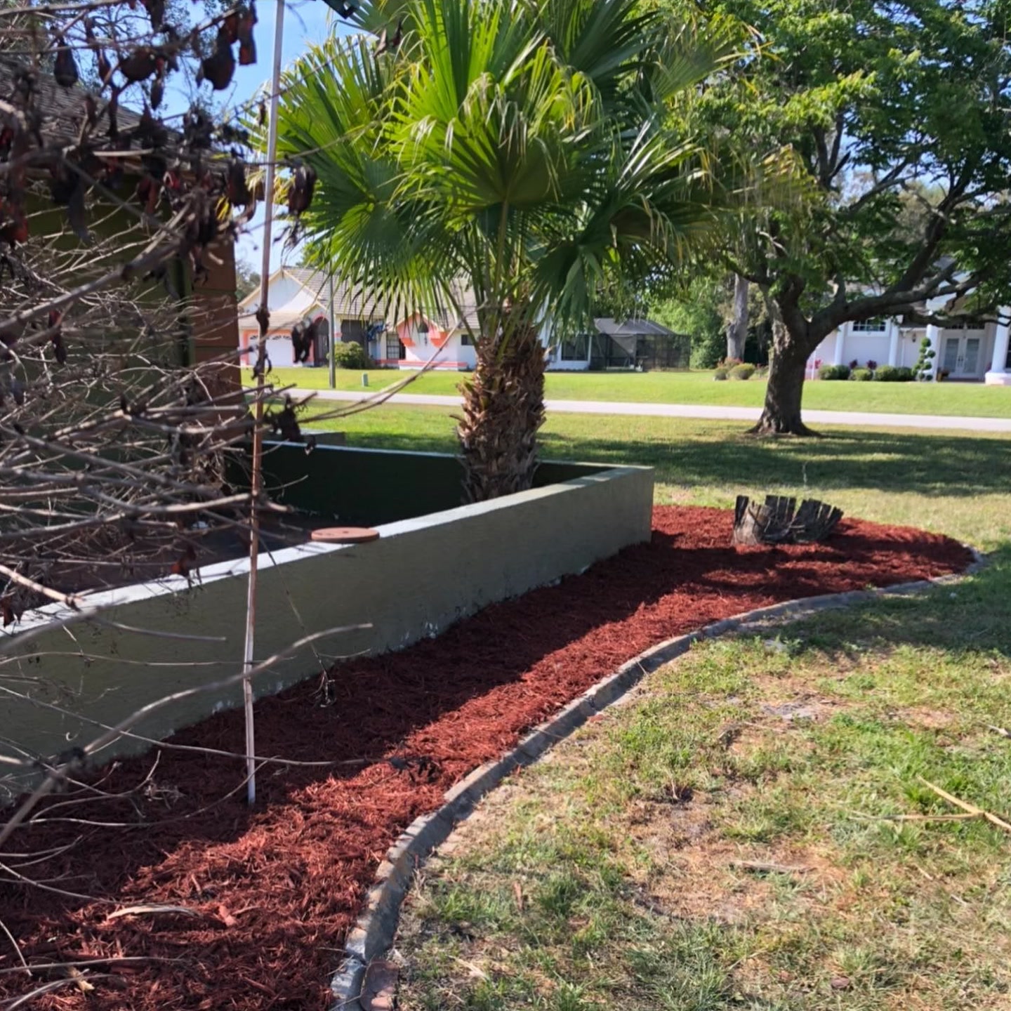 The same bed after cleanup with fresh red mulch