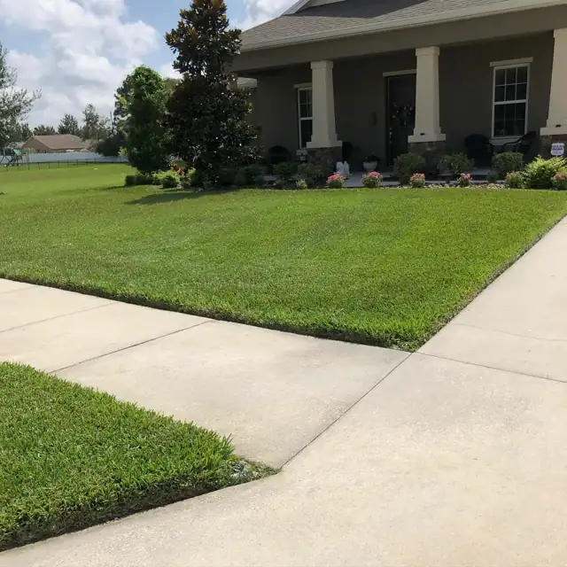 St. Augustine lawn mowed at the right height