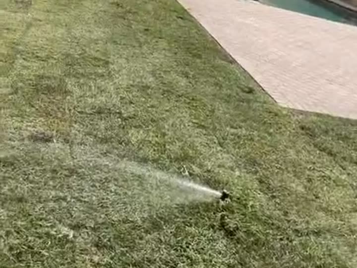 Newly laid sod beside a pool deck being watered by a sprinkler