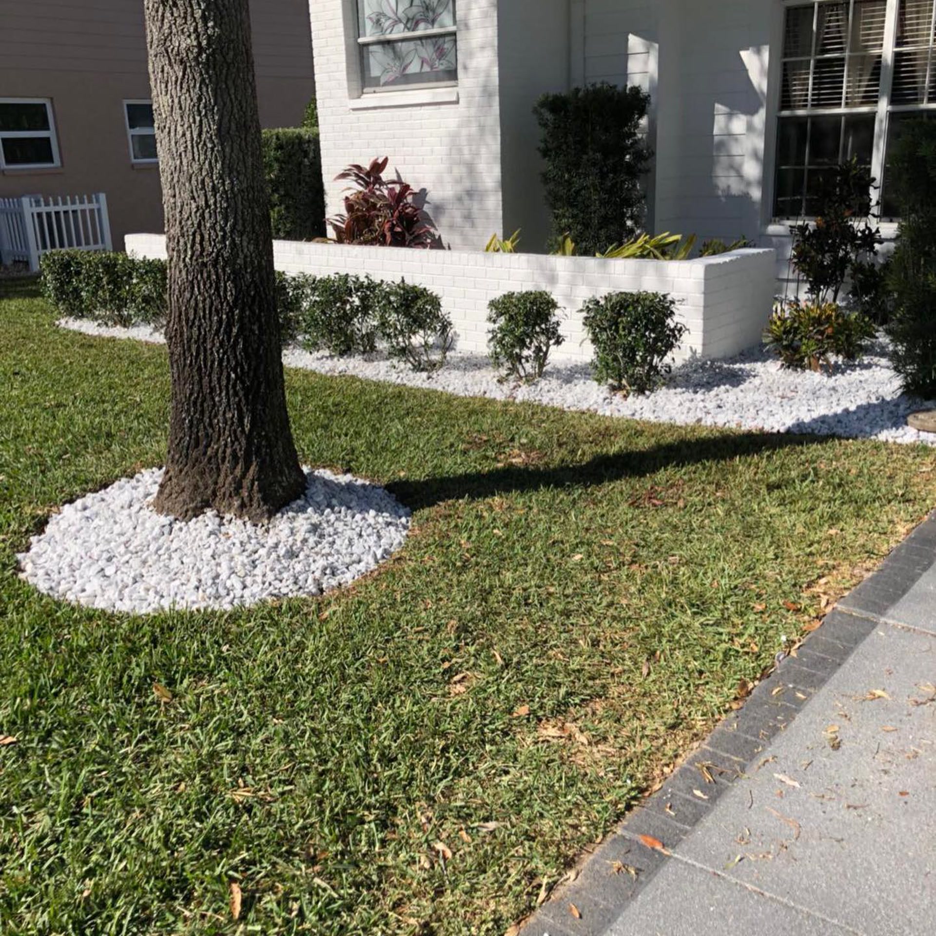 White rock ring installed around an oak on a striped lawn